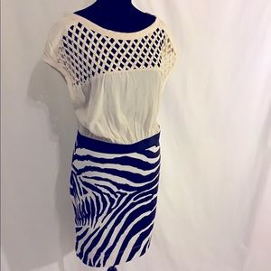 Vintage Free People Zebra Dress